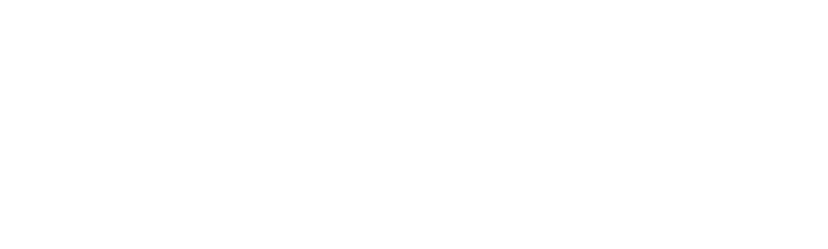 SPAR INTERNATIONAL - Logo